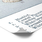 Vogeleieren Bord C  natuurlijke geschiedenis Poster (Hoek)