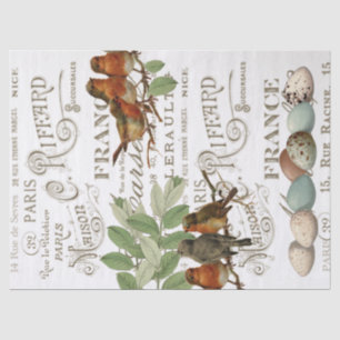 Vogeleieren  Franse plaatsnaam Leaf Decoupage Tissuepapier