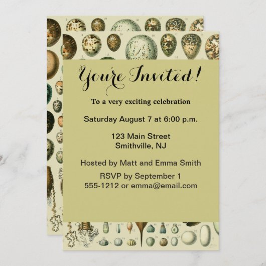 vogeleieren Franse viseieren Kaart (Voorkant / Achterkant)