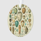  vogeleieren Franse viseieren Ornament (voorkant)