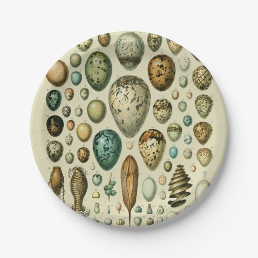  vogeleieren Franse viseieren Papieren Bordje (Voorkant)