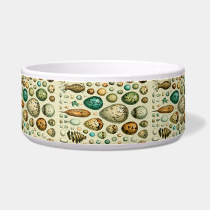  vogeleieren Franse viseieren Voerbakje