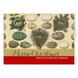 vogeleieren met nestkunst