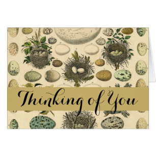 vogeleieren met nestkunst