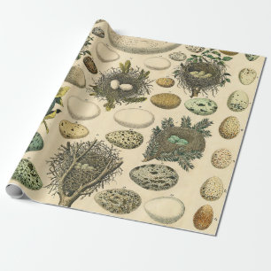 vogeleieren met nestkunst cadeaupapier