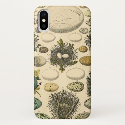 vogeleieren met nestkunst Case-Mate iPhone case (Achterkant)