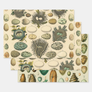  vogeleieren met nestkunst inpakpapier vel