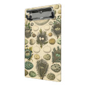  vogeleieren met nestkunst mini klembord (Angled2)