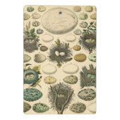  vogeleieren met nestkunst mini klembord (Achterkant)