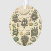  vogeleieren met nestkunst ornament (voorkant)