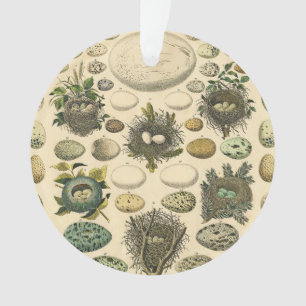 vogeleieren met nestkunst ornament