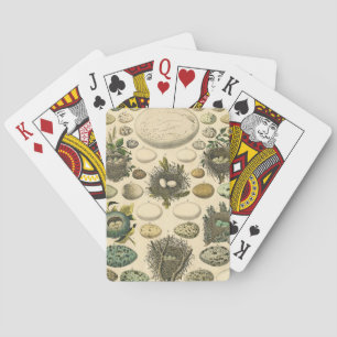  vogeleieren met nestkunst pokerkaarten