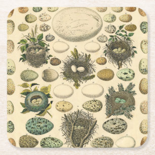  vogeleieren met nestkunst vierkante kartonnen onderzetter