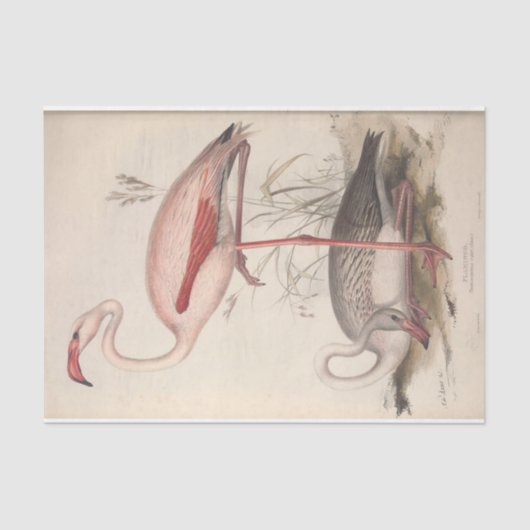 Vogelflamingo ephemera decoupage tissuepapier (Voorkant)