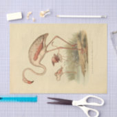 Vogelflamingo ephemera decoupage tissuepapier (Craft)