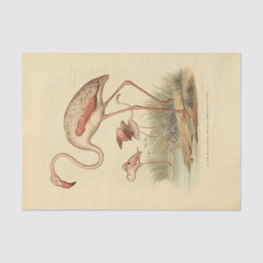 Vogelflamingo ephemera decoupage tissuepapier (Voorkant)