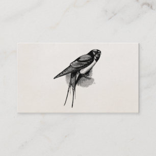 vogelfoto van Barn Swallow Swift Bird Visitekaartje