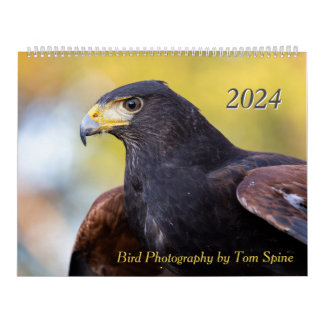 Vogelfotografie door Tom Spine - 2024 Kalender