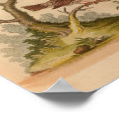  vogelgele rode afdrukken poster (Hoek)