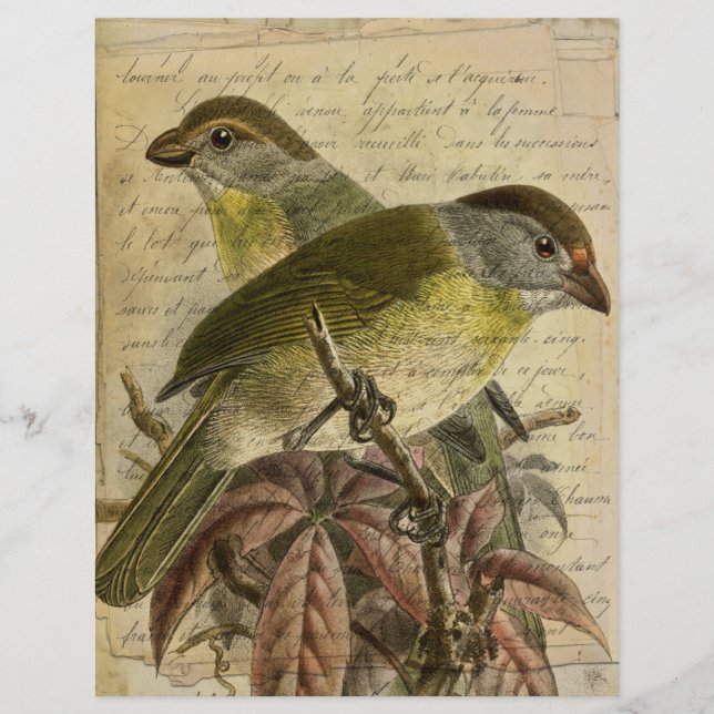  vogelgriep Ephemera-scrapbook (Voorkant)