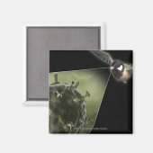 Vogelgriep uit de vogel magneet (Voorkant / Achterkant)