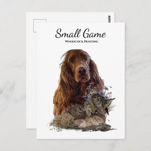 Vogelhond, houtsnip jagen briefkaart (Voorkant / Achterkant)