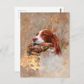 Vogelhond, houtsnip jagen briefkaart (Voorkant / Achterkant)