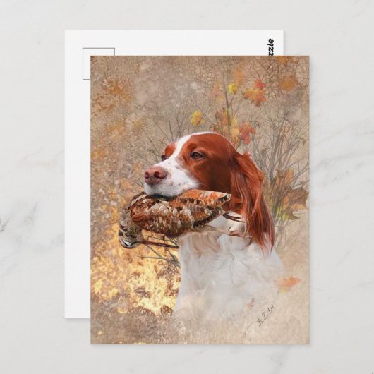 Vogelhond, houtsnip jagen briefkaart (Voorkant / Achterkant)