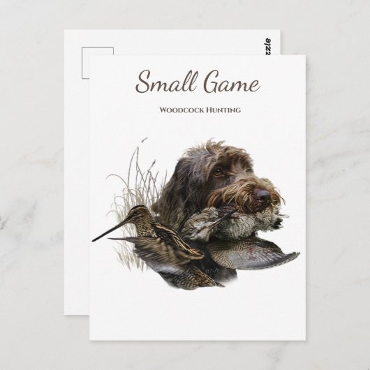 Vogelhond, houtsnip jagen briefkaart (Voorkant / Achterkant)