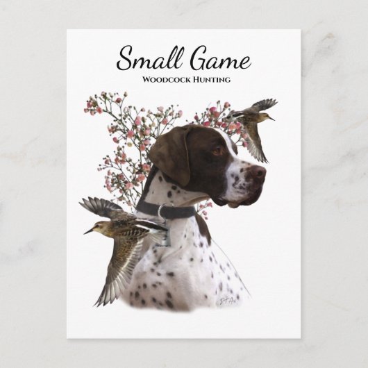 Vogelhond, houtsnip jagen briefkaart (Voorkant)