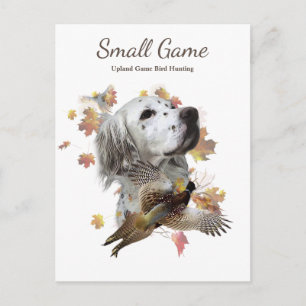 Vogelhond, Upland Game Vogeljacht Briefkaart