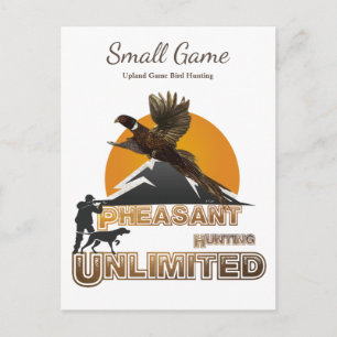 Vogelhond, Upland Game Vogeljacht Briefkaart