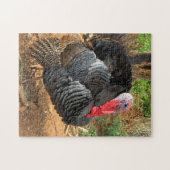 Vogelhouderij in Turkije Legpuzzel (Horizontaal)