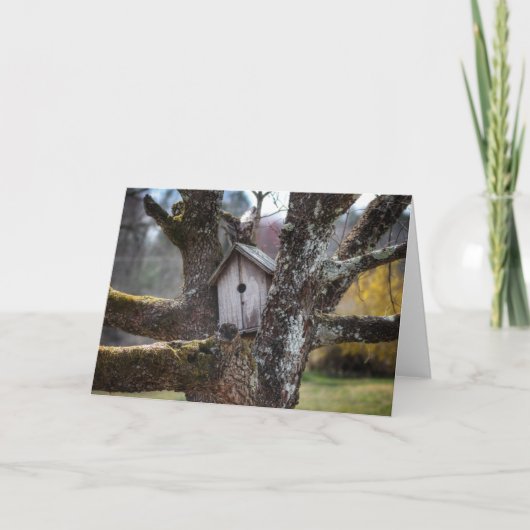 Vogelhuis 4219 greetibg kaart Framable (Voorkant)