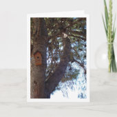 Vogelhuis in Pine Tree Portret Kaart (Voorkant)