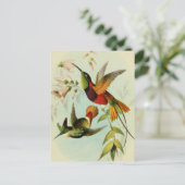 vogelillustratie briefkaart (Staand voorkant)