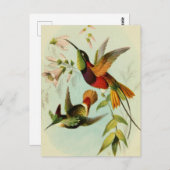 vogelillustratie briefkaart (Voorkant / Achterkant)