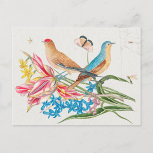 vogelillustratie briefkaart