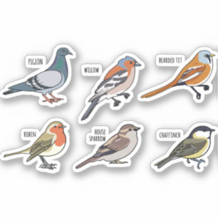 VOGELILLUSTRATIE DESIGN SET STICKER