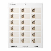 vogelillustratie Dodo Bird 1700s Dodo Birds Etiket (Full Sheet)