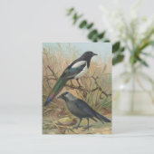 vogelillustratie Magpie en Jackdaw Briefkaart (Staand voorkant)