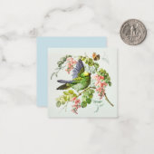  vogelillustratie notitiekaartje (Voorkant / Achterkant in situ)