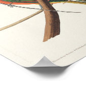  vogelillustratie poster (Hoek)