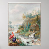  vogelillustratie poster (Voorkant)