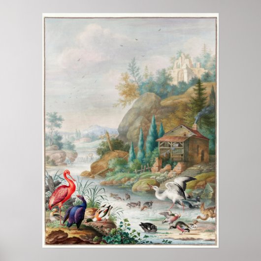  vogelillustratie poster (Voorkant)