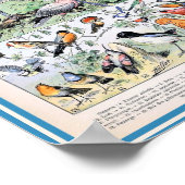  vogelillustratie poster (Hoek)
