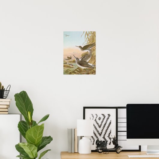 vogelillustratie "Sandpipers" Poster (Thuiskantoor)