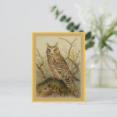  vogelillustratie van SACHOwl Briefkaart (Staand voorkant)