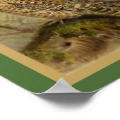  vogelillustratie van SACHOwl Poster (Hoek)