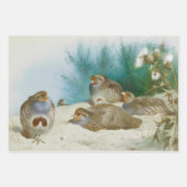 vogelillustraties kunst inpakpapier vel (Voorkant 2)